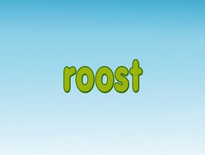 roost