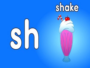  shake