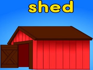  shed