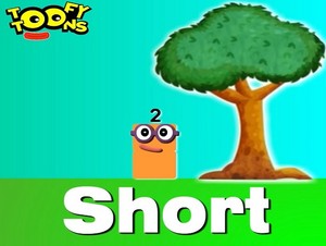  short