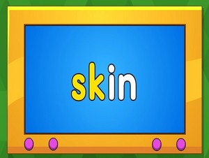 skin