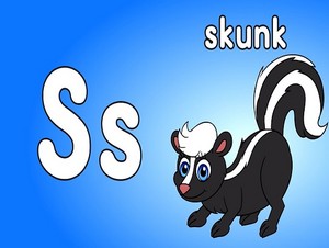  skunk
