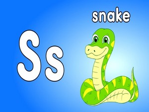  snake