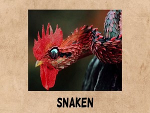  snaken