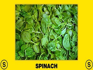 spinat