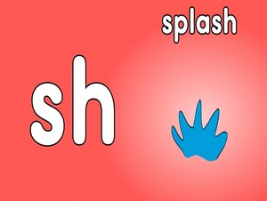  splash