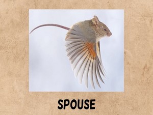  spouse