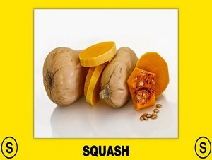  squash