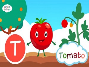 tomato, sos tomato