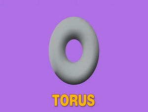  torus