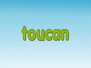  toucan