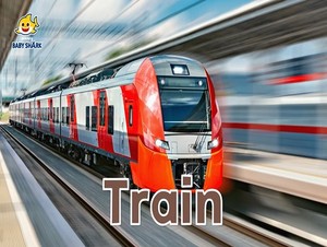  train
