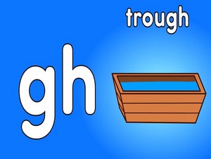  trough