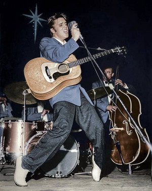  Elvis In concert