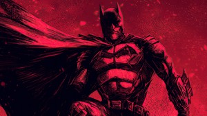  Batman 🦇