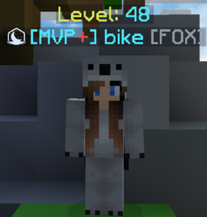  Bike OG Name Bikke On Hypixel