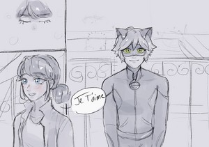  Chat Noir and Marinette