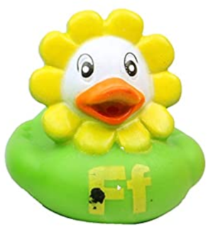  Ducks F