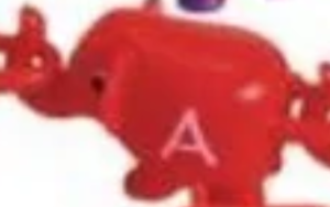 Elephant A