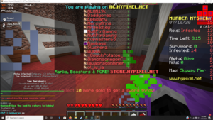  Invalid Dupe Usernames on Hypixel