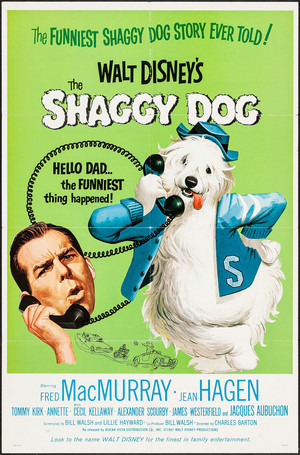  Movie Poster 1959 디즈니 Film, Shaggy Dog