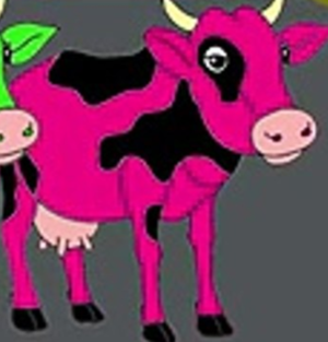  berwarna merah muda, merah muda Cow