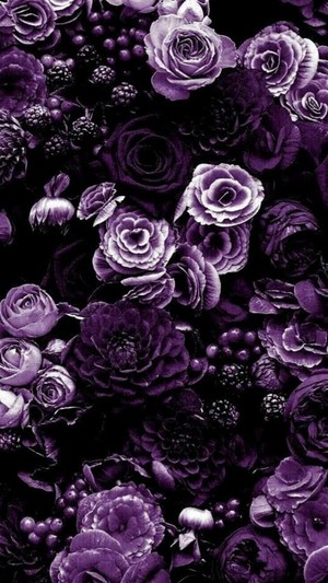  Purple 花 💜