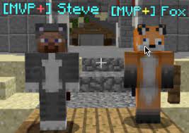  Rare OG Cape Accounts Steve and fox, mbweha on Hypixel before locked