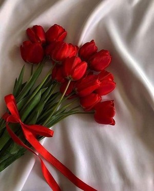  Red fiori