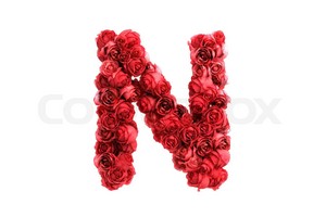 Red Roses Letter N