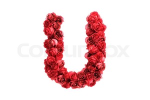 Red Roses Letter U