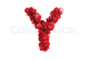 Red Roses Letter Y