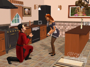  The Sims 2 রান্নাঘর & Bath Interior নকশা Stuff