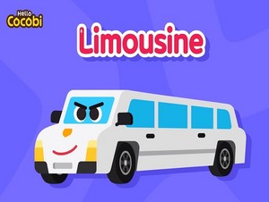  limousine
