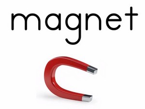  magnet