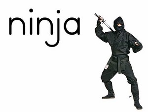  ninja