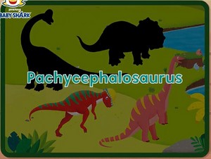  pachycephalosaurus