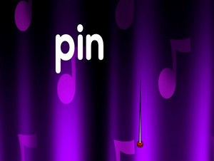  pin