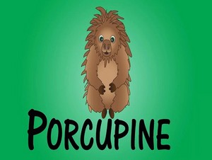  porcupine