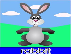  rabbit