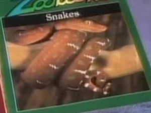  snakes