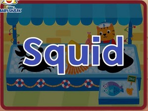  squid