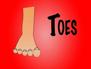  toes