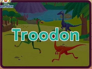  troodon