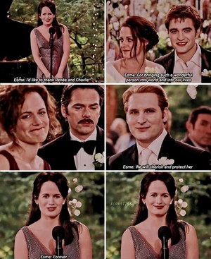  Edward and Bella’s wedding
