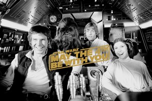 May the 4th be With You | Han, Luke, Chewbacca and Leia | Star Wars
