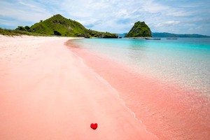  pink beach, pwani Lombok