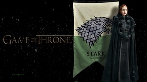  Sansa Stark fondo de pantalla