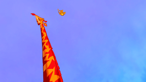  Walt ディズニー Screencaps - Simba