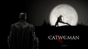  Batman Observes Catwoman